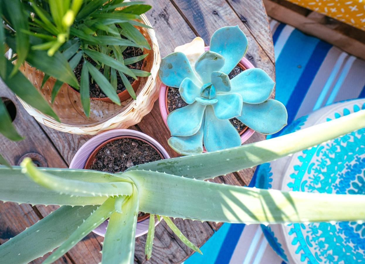 Апартаменти The Kalifornia I Stilvoll Mit Urlaubsfeeling I Dachterrasse I Klima Карлсруе Екстер'єр фото